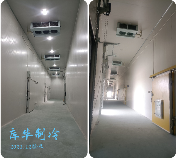 大型氣調冷庫設計安裝